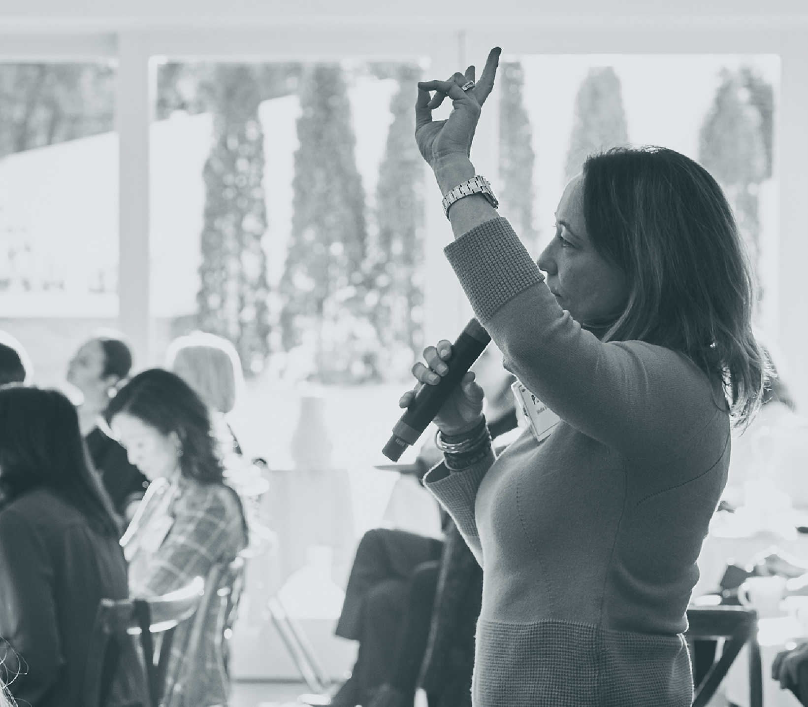 Effect page header image_cropped-01 Person with microphone with hand raised in a sunny conference room